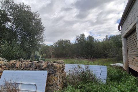 Terra a Costitx, Mallorca, Costitx - € 330.000 | Ref: 943 - foto 10