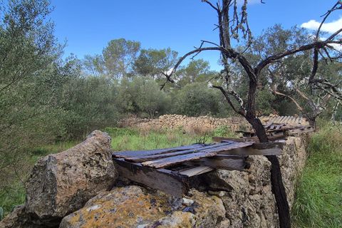 Terra a Costitx, Mallorca, Costitx - € 330.000 | Ref: 943 - foto 12
