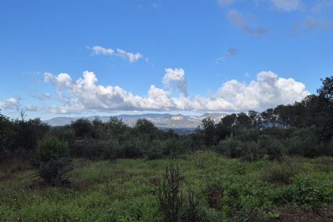 Terra a Costitx, Mallorca, Costitx - € 330.000 | Ref: 943 - foto 13