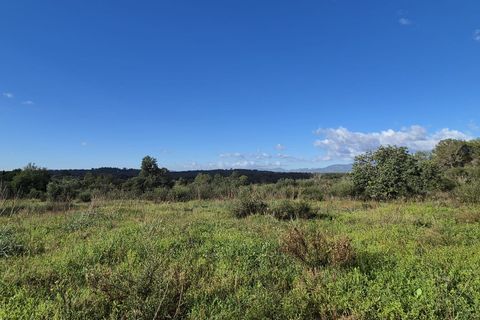 Terra a Costitx, Mallorca, Costitx - € 330.000 | Ref: 943 - foto 14