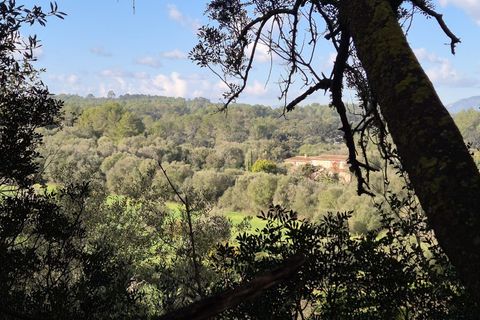 Terra a Costitx, Mallorca, Costitx - € 330.000 | Ref: 943 - foto 15