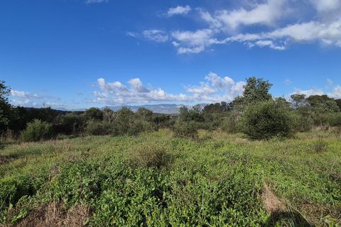 Terra a Costitx, Mallorca, Costitx - € 330.000 | Ref: 943 - foto 18