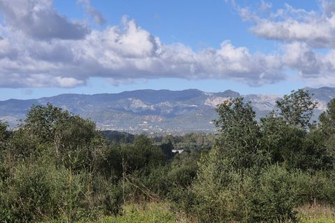 Terra a Costitx, Mallorca, Costitx - € 330.000 | Ref: 943 - foto 20