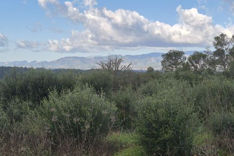 Terra a Costitx, Mallorca, Costitx - € 330.000 | Ref: 943 - foto 21