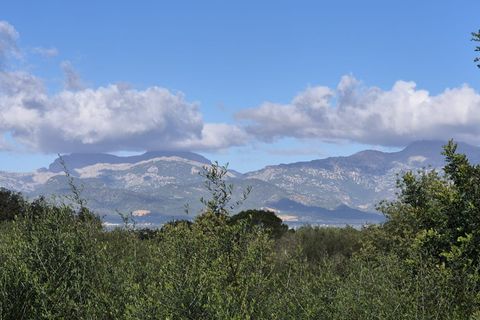 Terra a Costitx, Mallorca, Costitx - € 330.000 | Ref: 943 - foto 22