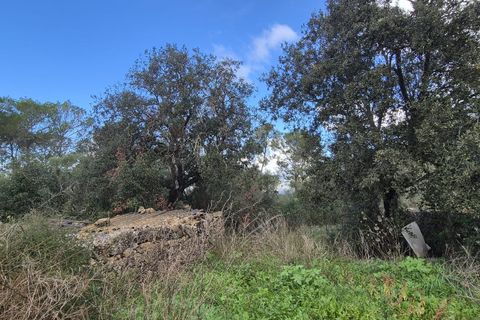 Terra a Costitx, Mallorca, Costitx - € 330.000 | Ref: 943 - foto 24