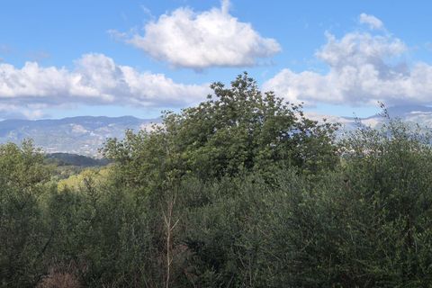 Terra a Costitx, Mallorca, Costitx - € 330.000 | Ref: 943 - foto 25