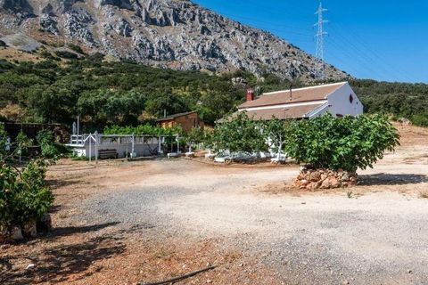 Landejendom i Antequera, Malaga, Antequera - € 420.000 | Ref: CV1980/1512 - foto 15