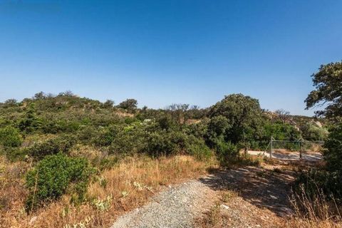 Landejendom i Antequera, Malaga, Antequera - € 420.000 | Ref: CV1980/1512 - foto 36