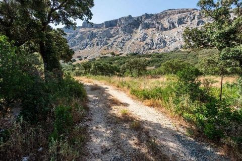 Landejendom i Antequera, Malaga, Antequera - € 420.000 | Ref: CV1980/1512 - foto 37