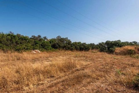 Landejendom i Antequera, Malaga, Antequera - € 420.000 | Ref: CV1980/1512 - foto 38
