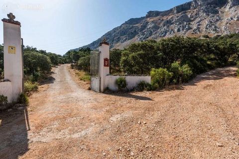 Landejendom i Antequera, Malaga, Antequera - € 420.000 | Ref: CV1980/1512 - foto 41