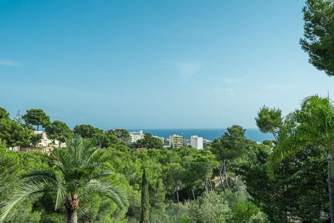 Villa i Costa D'en Blanes, Mallorca - foto 2