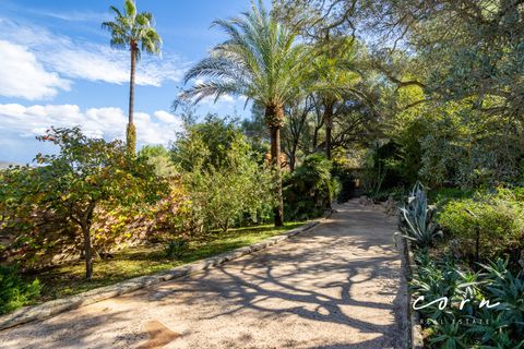 Landejendom i Arta, Mallorca, Arta - € 2.490.000 | Ref: CRE0080 - foto 22