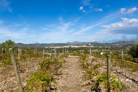 Landejendom i Arta, Mallorca, Arta - € 2.490.000 | Ref: CRE0080 - foto 27