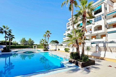 Leilighet i Torrevieja, Alicante, Torrevieja - € 187 900 | Ref: AM-02117/8919 - foto 13