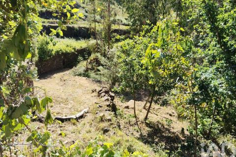 Byhus i Serta, Castelo Branco, Serta - € 54.000 | Ref: 757028 - foto 3