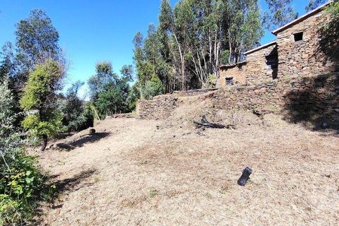 Byhus i Serta, Castelo Branco, Serta - € 54.000 | Ref: 757028 - foto 8