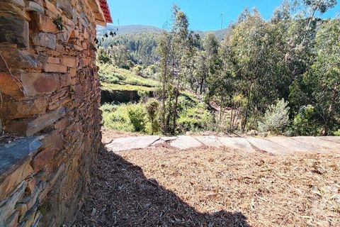 Byhus i Serta, Castelo Branco, Serta - € 54.000 | Ref: 757028 - foto 13