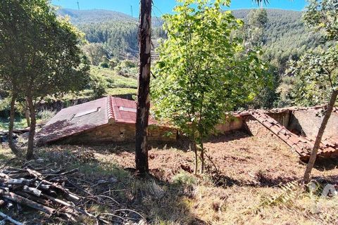 Byhus i Serta, Castelo Branco, Serta - € 54.000 | Ref: 757028 - foto 14