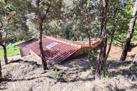 Byhus i Serta, Castelo Branco, Serta - € 54.000 | Ref: 757028 - foto 15