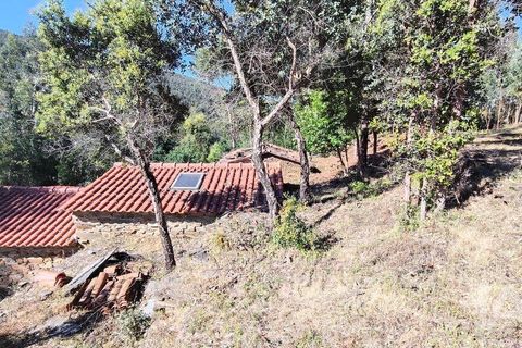 Byhus i Serta, Castelo Branco, Serta - € 54.000 | Ref: 757028 - foto 17