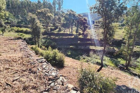 Byhus i Serta, Castelo Branco, Serta - € 54.000 | Ref: 757028 - foto 18