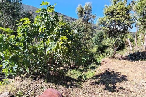 Byhus i Serta, Castelo Branco, Serta - € 54.000 | Ref: 757028 - foto 22