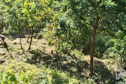 Byhus i Serta, Castelo Branco, Serta - € 54.000 | Ref: 757028 - foto 26