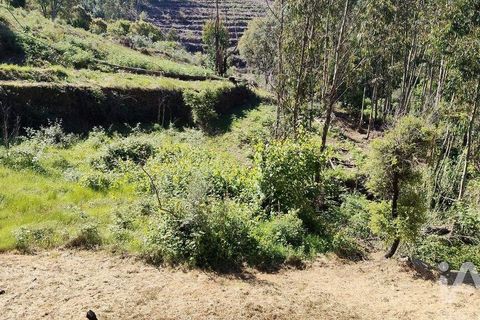 Byhus i Serta, Castelo Branco, Serta - € 54.000 | Ref: 757028 - foto 28