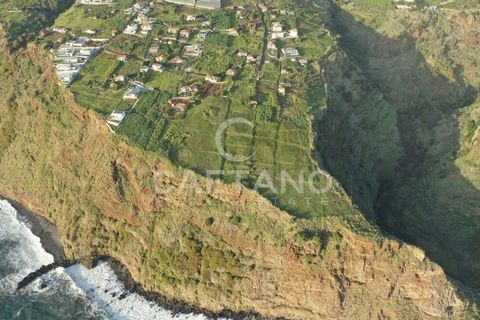 Villa i Calheta, Madeira, Calheta - € 1.850.000 | Ref: 1501 (2) - foto 3