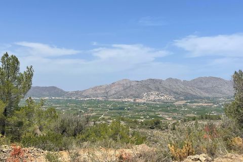 Tomt i Benidoleig, Alicante, Benidoleig - € 150 000 | Ref: P070D - foto 8