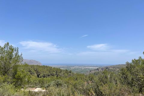 Tomt i Benidoleig, Alicante, Benidoleig - € 150 000 | Ref: P070D - foto 11