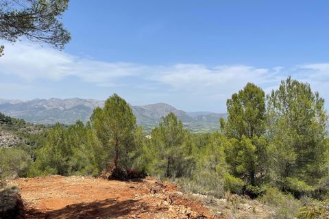 Tomt i Benidoleig, Alicante, Benidoleig - € 150 000 | Ref: P070D - foto 12
