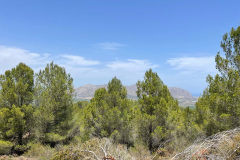 Tomt i Benidoleig, Alicante, Benidoleig - € 150 000 | Ref: P070D - foto 13