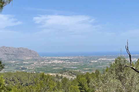 Tomt i Benidoleig, Alicante, Benidoleig - € 150 000 | Ref: P070D - foto 15