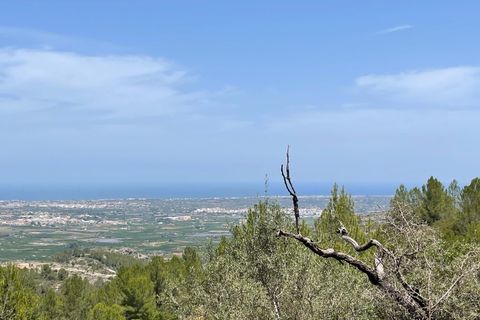 Tomt i Benidoleig, Alicante, Benidoleig - € 150 000 | Ref: P070D - foto 16