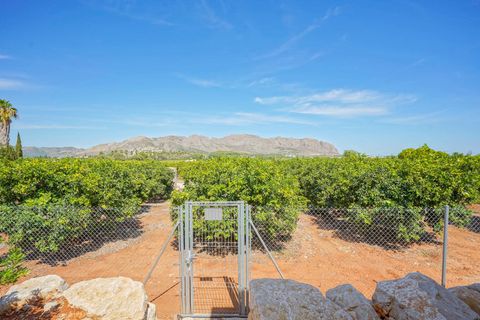 Villa i Beniarbeig, Alicante, Beniarbeig - € 875.000 | Ref: V172D - foto 41