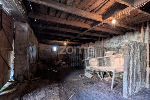 Farm i Pedroso, Porto, Pedroso - € 299.000 | Ref: ZMPT583129 - foto 7