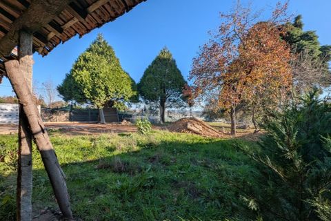Farm i Pedroso, Porto, Pedroso - € 299.000 | Ref: ZMPT583129 - foto 21