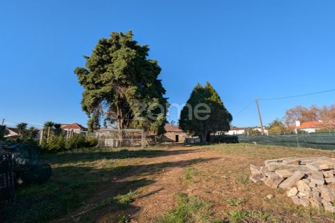 Farm i Pedroso, Porto, Pedroso - € 299.000 | Ref: ZMPT583129 - foto 22