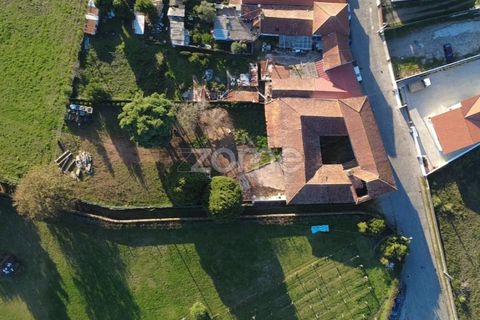 Farm i Pedroso, Porto, Pedroso - € 299.000 | Ref: ZMPT583129 - foto 26