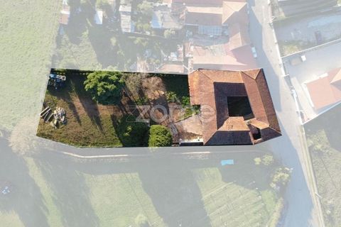 Farm i Pedroso, Porto, Pedroso - € 299.000 | Ref: ZMPT583129 - foto 27