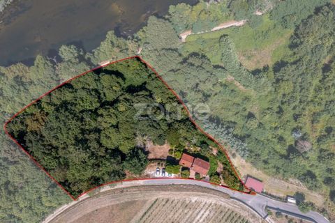 Villa i Ponte de Lima, Viana do Castelo, Ponte de Lima - € 350.000 | Ref: ZMPT583222 - foto 8