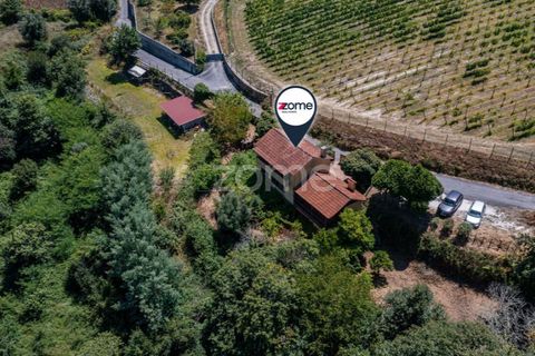 Villa i Ponte de Lima, Viana do Castelo, Ponte de Lima - € 350.000 | Ref: ZMPT583222 - foto 49