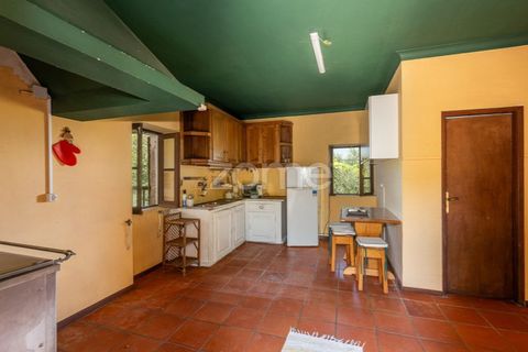Villa i Ponte de Lima, Viana do Castelo, Ponte de Lima - € 350.000 | Ref: ZMPT583222 - foto 12