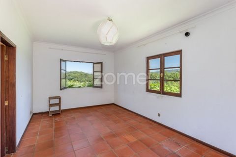 Villa i Ponte de Lima, Viana do Castelo, Ponte de Lima - € 350.000 | Ref: ZMPT583222 - foto 14