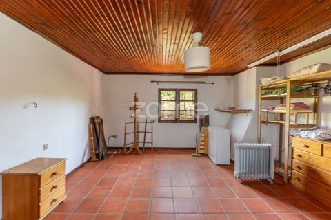 Villa i Ponte de Lima, Viana do Castelo, Ponte de Lima - € 350.000 | Ref: ZMPT583222 - foto 26