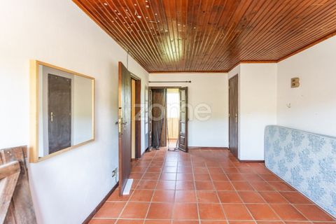 Villa i Ponte de Lima, Viana do Castelo, Ponte de Lima - € 350.000 | Ref: ZMPT583222 - foto 30