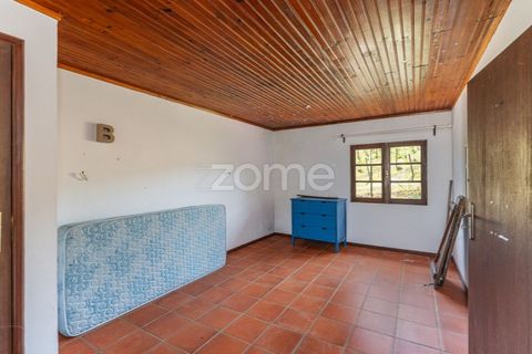 Villa i Ponte de Lima, Viana do Castelo, Ponte de Lima - € 350.000 | Ref: ZMPT583222 - foto 32